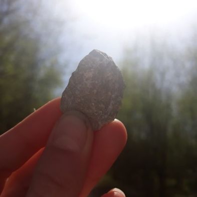 tsa_PhotoclubHomeLearning (5)